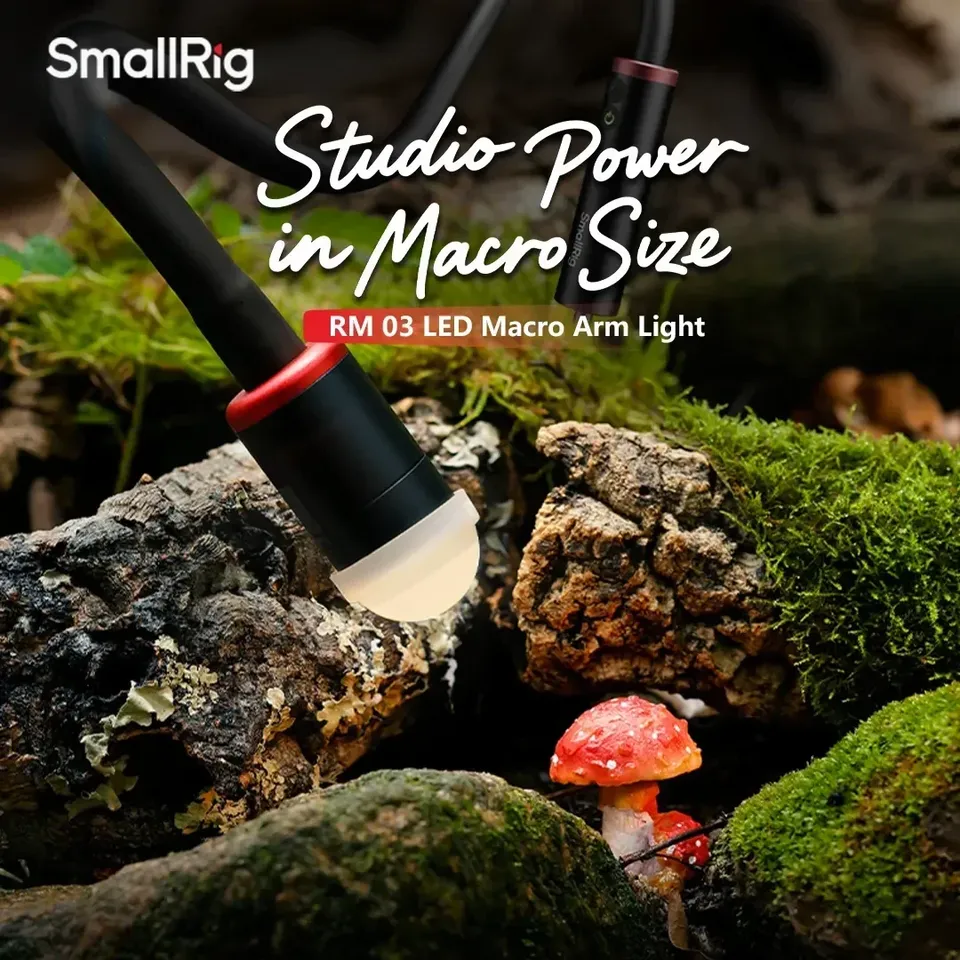 Для Smallrig RM-03 3 Вт светод – обзор и цена Photography Lighting For Jewelry