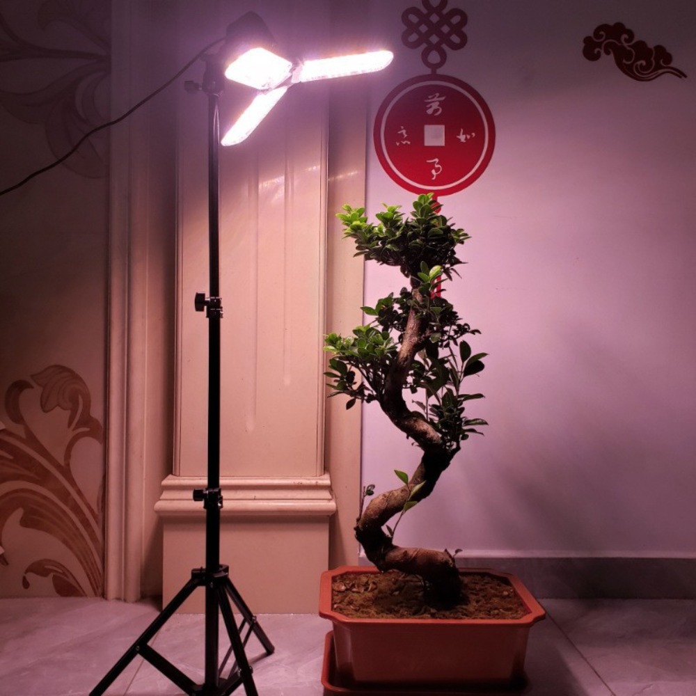 Подставка для лампочки 2 м, цо – обзор и цена Photography Lighting Mount